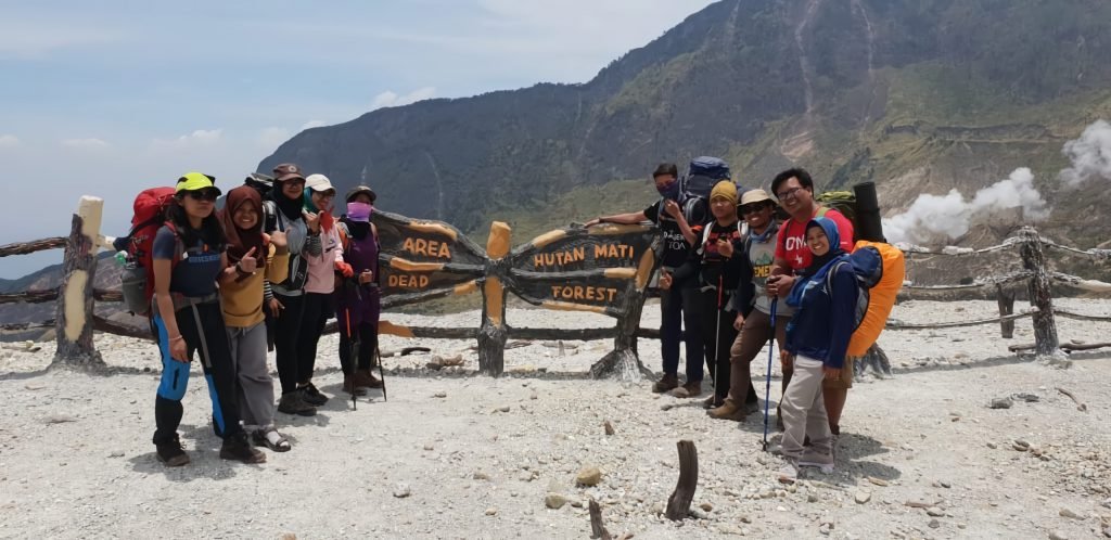 Gunung papandayan, hutan mati, garut, simaksi mahal