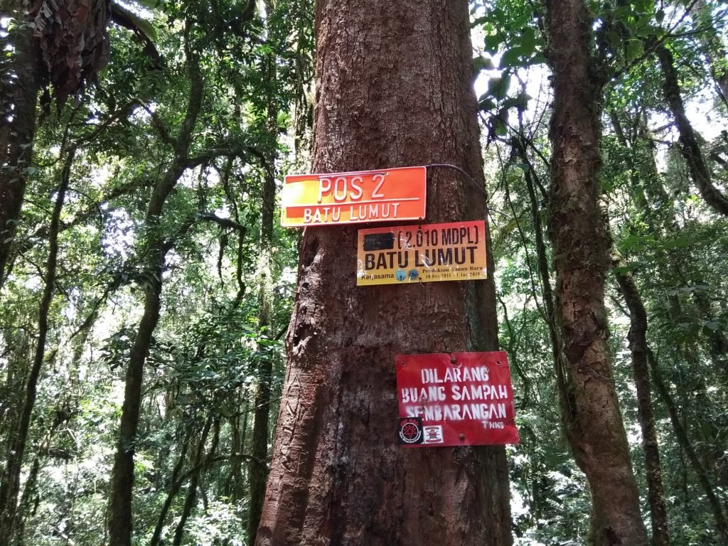Pendakian Gunung Kerinci, Gunung Tertinggi di Sumatera