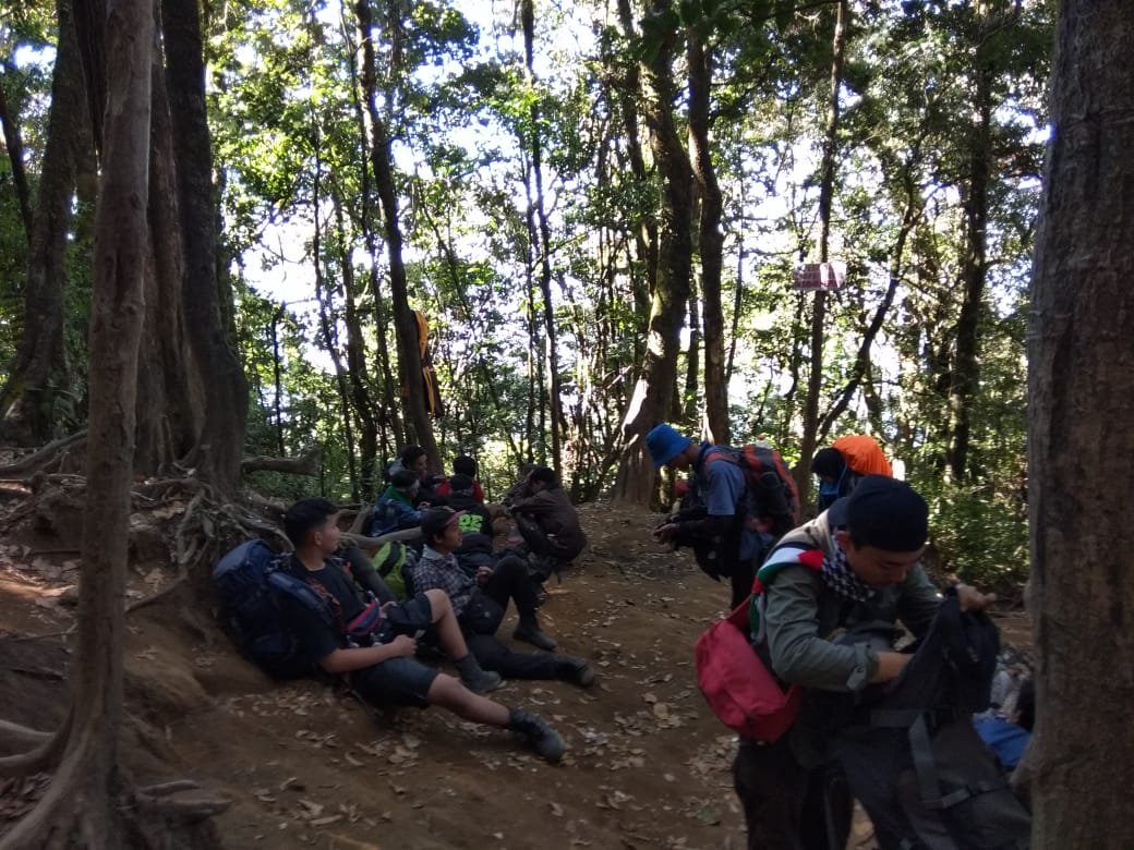 gunung cikuray, gunung, cikuray, garut, paguci, cikuray 2821 mdpl