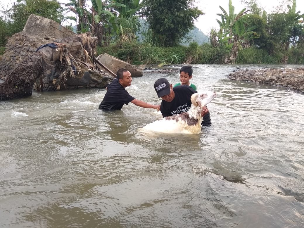 Sociotrip, kurban, cianjur, dompet dhuafa, jangan takut berbagi, jangan takut berkurban