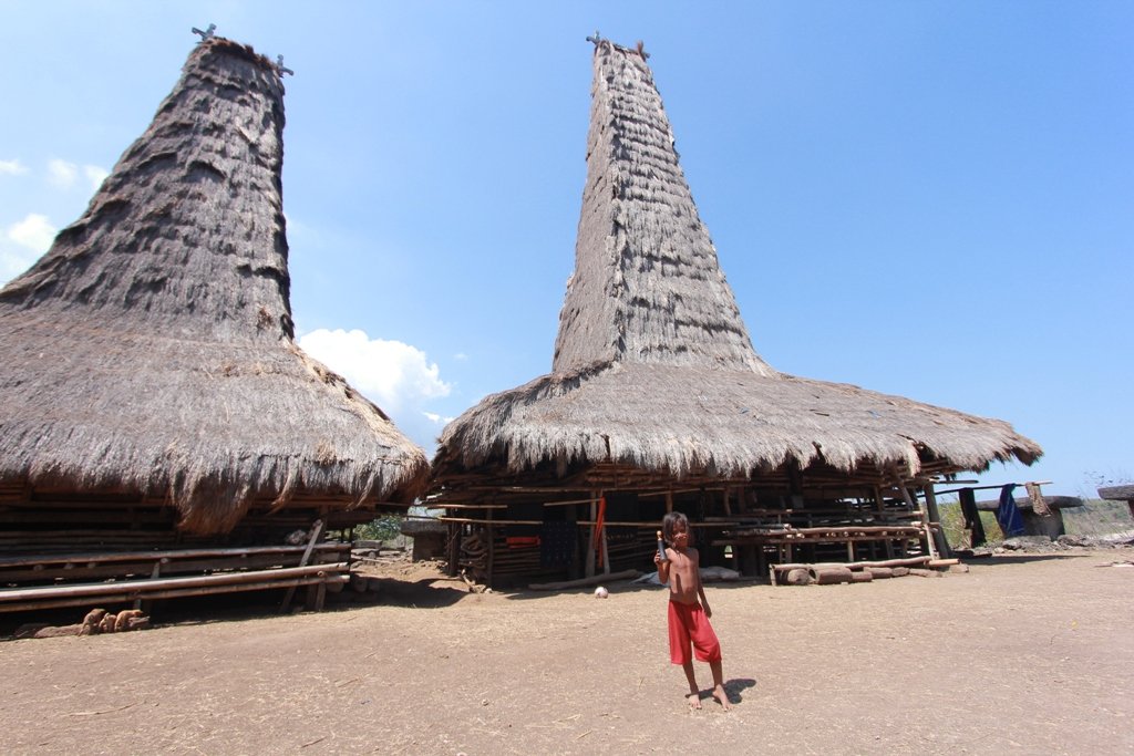 indahnya trip sumba ke rumah adat tradisional