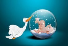 Masalah Kesuburan, Kesuburan Suami, Kesuburan Istri