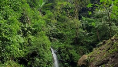 Curug Cisurian